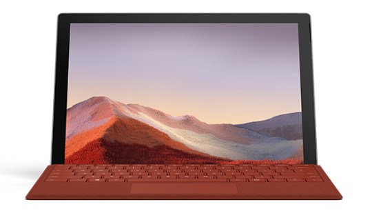 盘龙清洁和维护 Surface